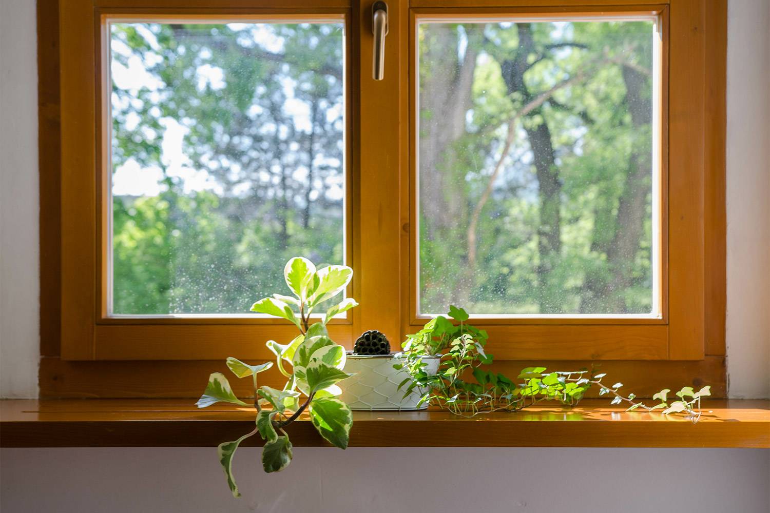 Read more about the article Replacement Windows: Vinyl vs. Wood Windows